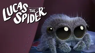 Help Lucas the Spider Go Back to Sleep!