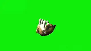 Green screen video funny cat 🐈 😻 