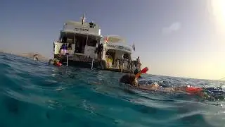 Mısır Hurgada Dalış