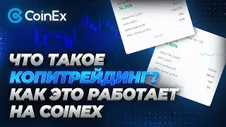 Что такое копитрейдинг ? |  Как это работает на CoinEx | CoinEx Гайды
