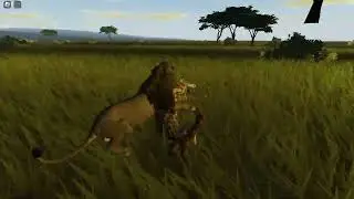 WILD SAVANNA GLITCH!