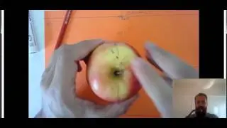 Explaining the difference between Magnetic North and True north.