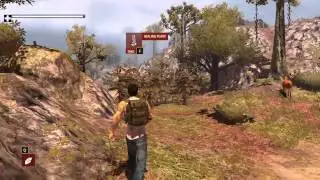 HOW TO SURVIVE THIRD PERSON STANDALONE On Amd  Readon 5450