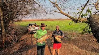LUGARZINHO  IMPRESSIONANTE,NUNCA DECEPCIONA-acampamento pescaria RIO DOURADOS MS.