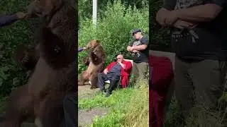 Банда Косолапого их боялись даже зайцы!🐻🐰 #криминальнаяроссия #барецкийпоследняякровь