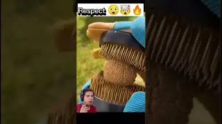 Videos increíbles 5 #reels #hazmeviral #tiktok