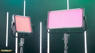 LED EOYS 2023