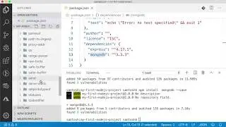 How to install NodeJS and setup project from scratch?
