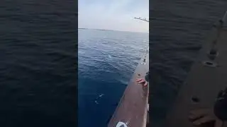 28 Kasım 2021