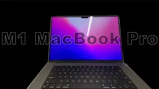 New 16