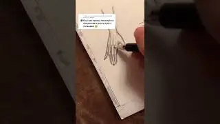 КИСТЬ РУКИ