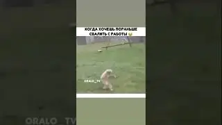 когда хочешь пораньше свалить #shorts