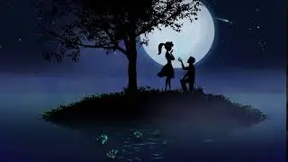 buttterfly proposal