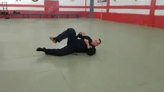 Sokuho ukemi
