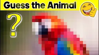 Funny Animal Video 2022 🐴😍🐷 Guess 15 animals in 3 minutes