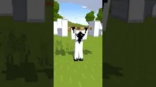 Steve = Herobrine? - Minecraft Animation #shorts