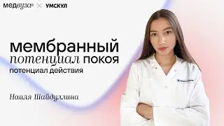 Мембранный потенциал покоя. Потенциал действия