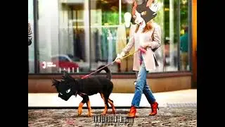Walk a like a dog🥹