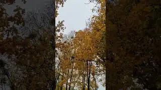 10 ноября 2023 г.