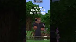 Minecraft Challenge  