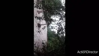 Кургончада Яна сел