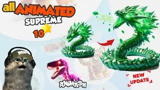 All animated supreme 10 stars on animash game