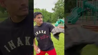 They have to close this park down #funny #fails #parkour #skateboarding #shorts