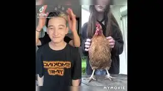 КРАСИВЫЕ И КРУТЫЕ ВИДЕО ОТ rendi_popping