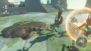 Two Zelda Bros play Tears of the Kingdom