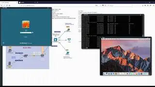 EVE-NF professional HTML consoles