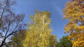 Октябрь
