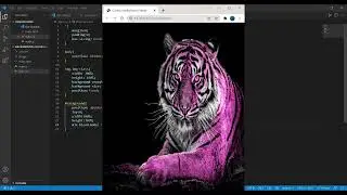 Background color change - like an Instagram filter using HTML CSS and JS