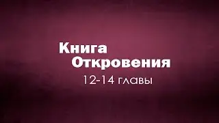 Книга Откровение 12 14 главы Сергей Головин