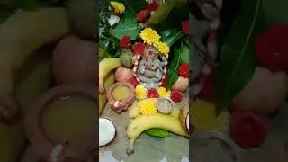Vinayaka chavithi subhakanshalu 2024 || Raniram vlogs