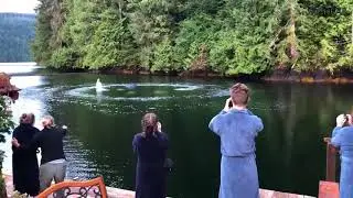 КИТЫ ВЫНЫРНУЛИ под БАЛКОНОМ!!!