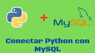 How to connect Python to a MySQL database and how to make queries