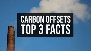 What are Carbon Offsets? Everything you need to know in 1 minute