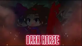 💫 Dark Horse 💫