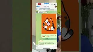 Где размещать портфолио веб дизайнеру 