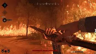 Новогодняя нарезка - Hunt Showdown №14