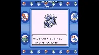 Magikarp evolves into Gyarados aboard the St. Anne