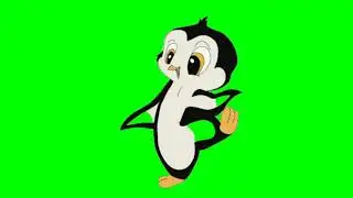 Pigeon green screen animation| editor g