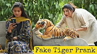 Fake Tiger Prank on Cute Girl@crazycomedy9838