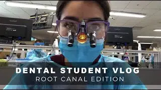 VLOG #2 - Learning Root Canals in Dental School + new loupes, fire drill & live scorpions??