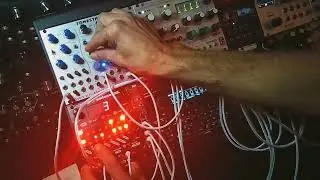 tonestar2600 & mutable instruments rings - my second bass player