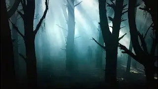 Ужасная история с копа ( Что могло там произойти?).