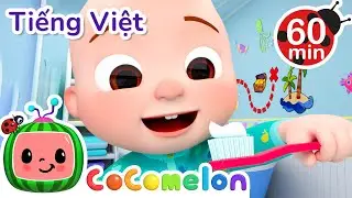 Vâng Vâng Chải Răng Nào | Bài hát dành cho trẻ em | Karaoke dành cho trẻ em
