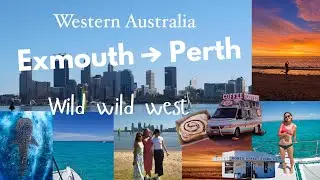 Whale sharks, Exmouth, Perth & Ningaloo Reef! 🐠  Western Australia road trip (part 1)