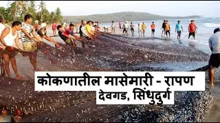 कोकणातील मासेमारी - रापण  (मिठबाव, देवगड, सिंधुदुर्ग) Fishing at Konkan