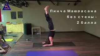 Пинча Маюрасана